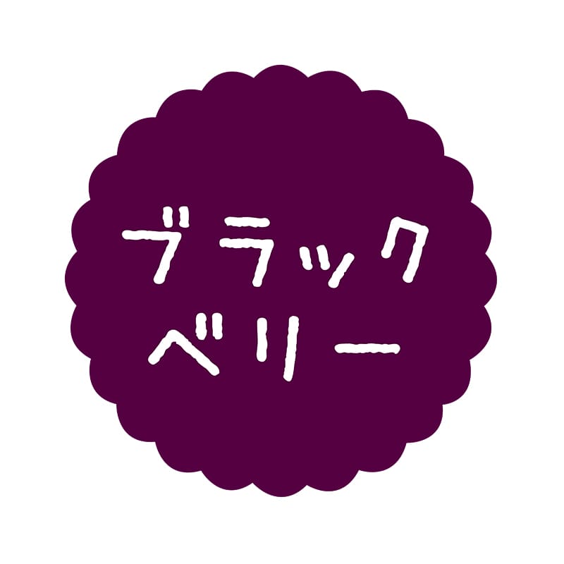 ヒカリ紙工 フレーバーシール　SMラベル 300枚入 SO-534  ブラックベリー1袋（ご注文単位1袋）【直送品】