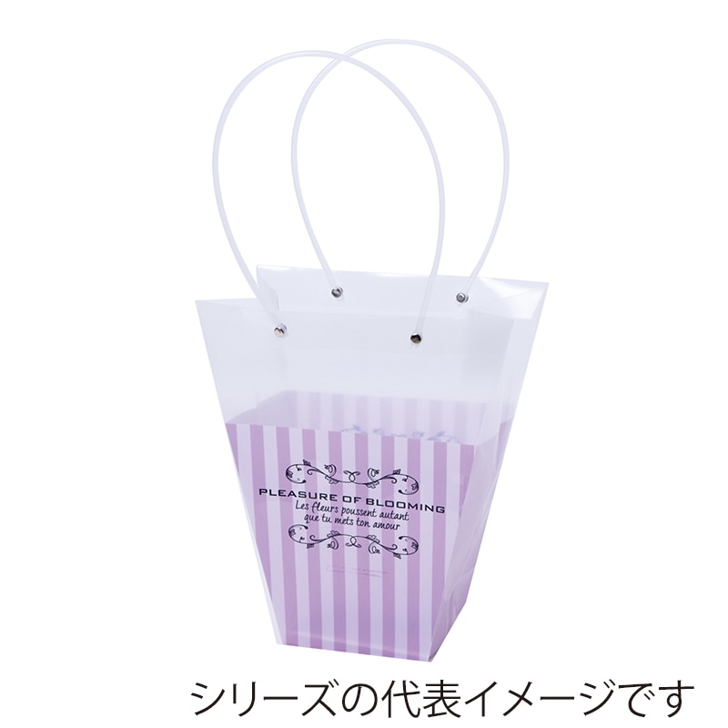 バイオレットボーダー