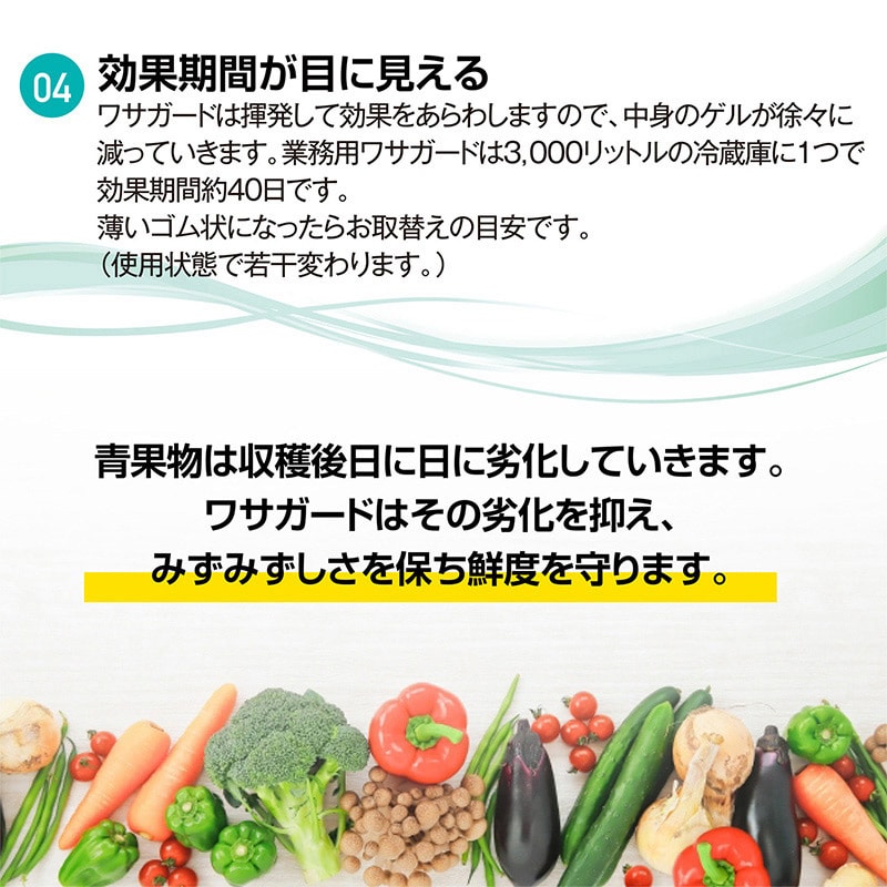虎変堂 抗菌消臭剤 ワサガード 業務用 冷蔵室用 ゲルタイプ 350g 2WGP0001 1個(ご注文単位1個)【直送品】