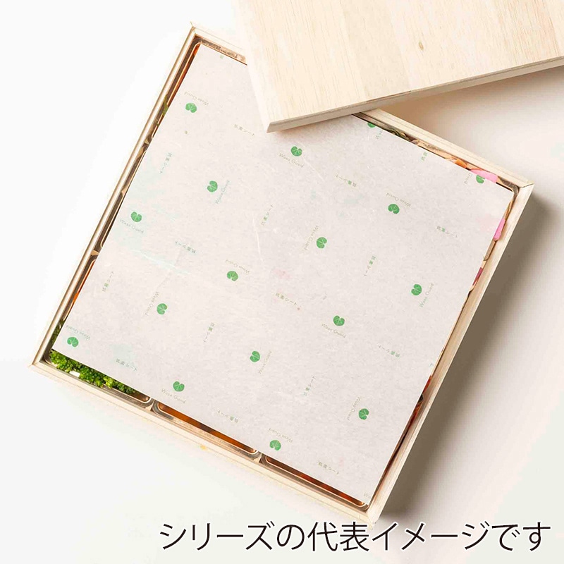 虎変堂 抗菌シート ワサガード 雲龍 160×160mm 7H160160 1袋(ご注文単位1袋)【直送品】