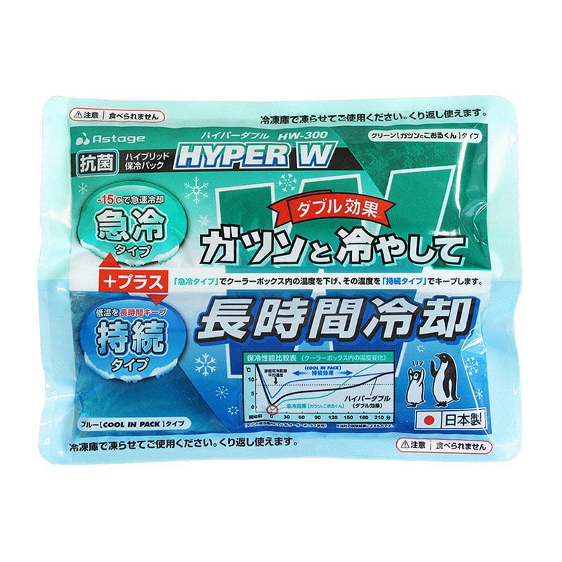 JEJアステージ ハイブリッド保冷パック ハイパーダブル HW-300 1個(ご注文単位30個)【直送品】