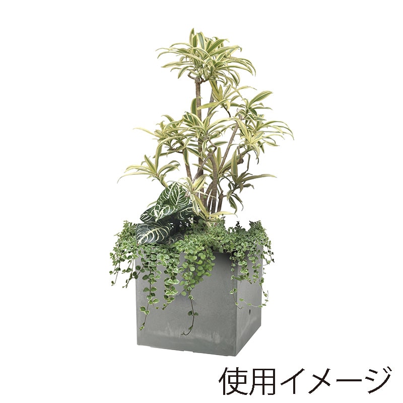 リッチェル ラヴィーレ プランターWS キューブ 45型 ライトグレー 70901 1個(ご注文単位1個)【直送品】