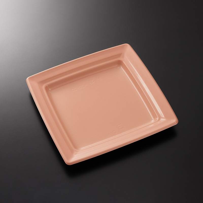 中央化学 惣菜・軽食容器 CT沙楽 K20-20 NP-BK 身 50枚/袋(ご注文単位12袋)【直送品】