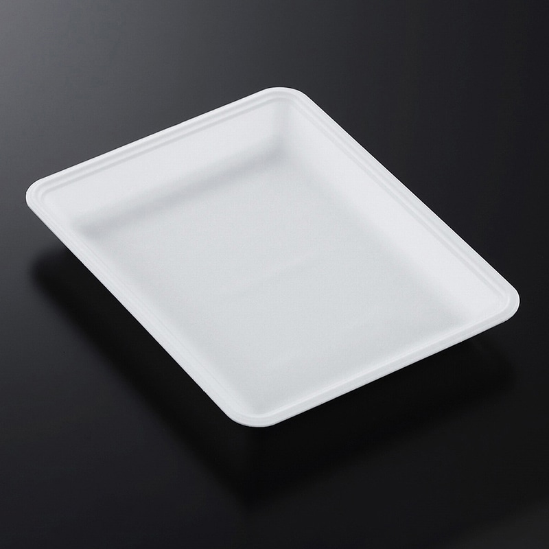 中央化学 発泡トレー容器 CNトレー 20-25FF (L) 白 100枚/袋（ご注文単位9袋）【直送品】