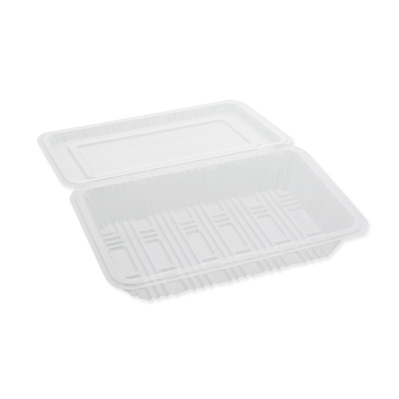 中央化学 食品容器　フードパック 大浅　SE  100枚/袋（ご注文単位20袋）【直送品】