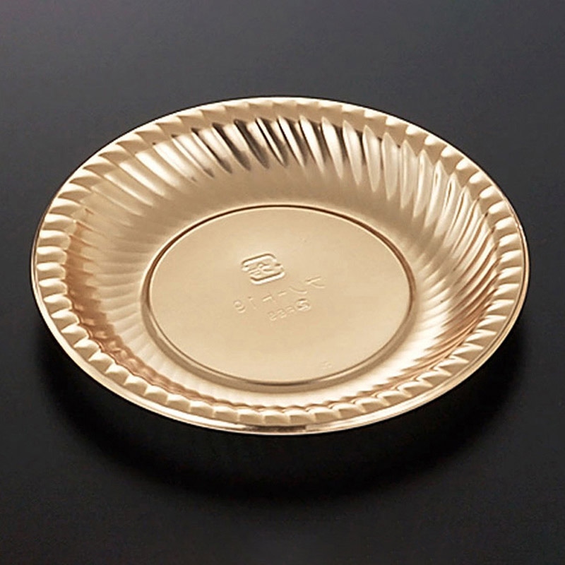 中央化学 オードブル容器 DXPDプレート 本体 19 G-W 20枚/袋（ご注文単位20袋）【直送品】