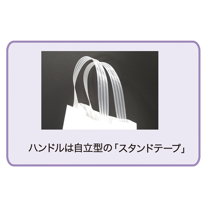 モロフジ 手提げポリ袋 ルポ M 0109125 25枚/袋(ご注文単位16袋)【直送品】