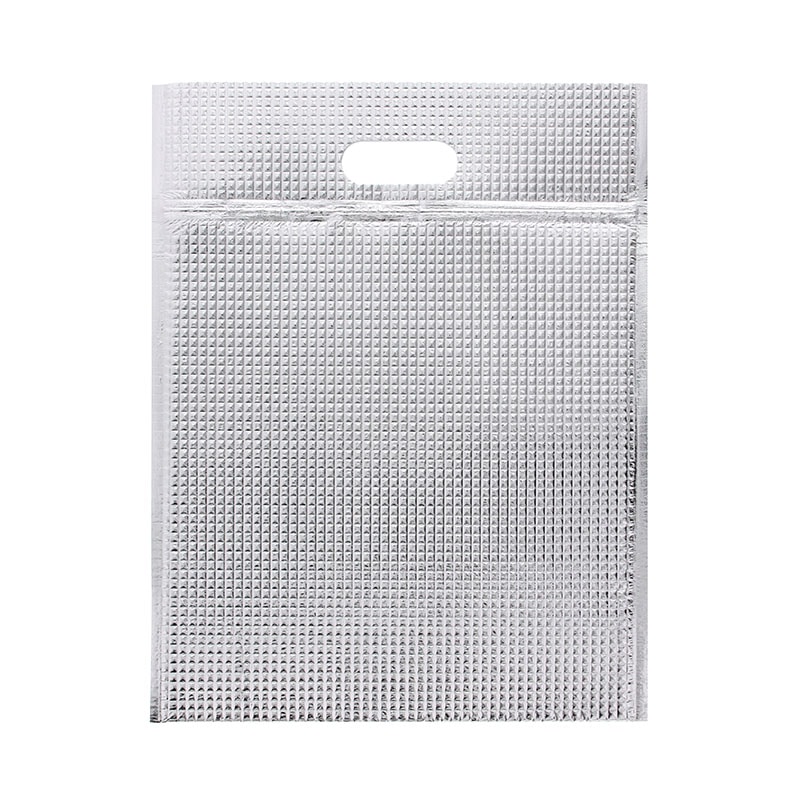 モロフジ 保冷平袋 ジップ付き L 10枚/袋