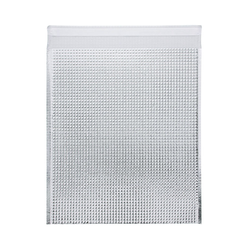 モロフジ 保冷平袋 封筒型 テープ付き L 10枚/袋