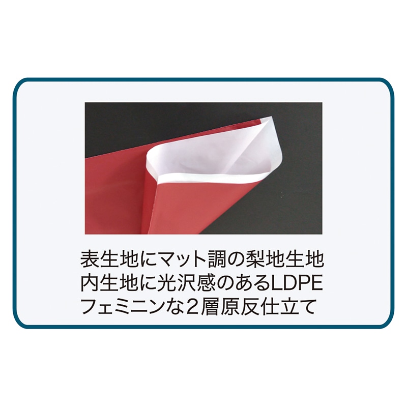 モロフジ ギフトラッピング袋 赤 M 109244 10枚/袋（ご注文単位20袋）【直送品】
