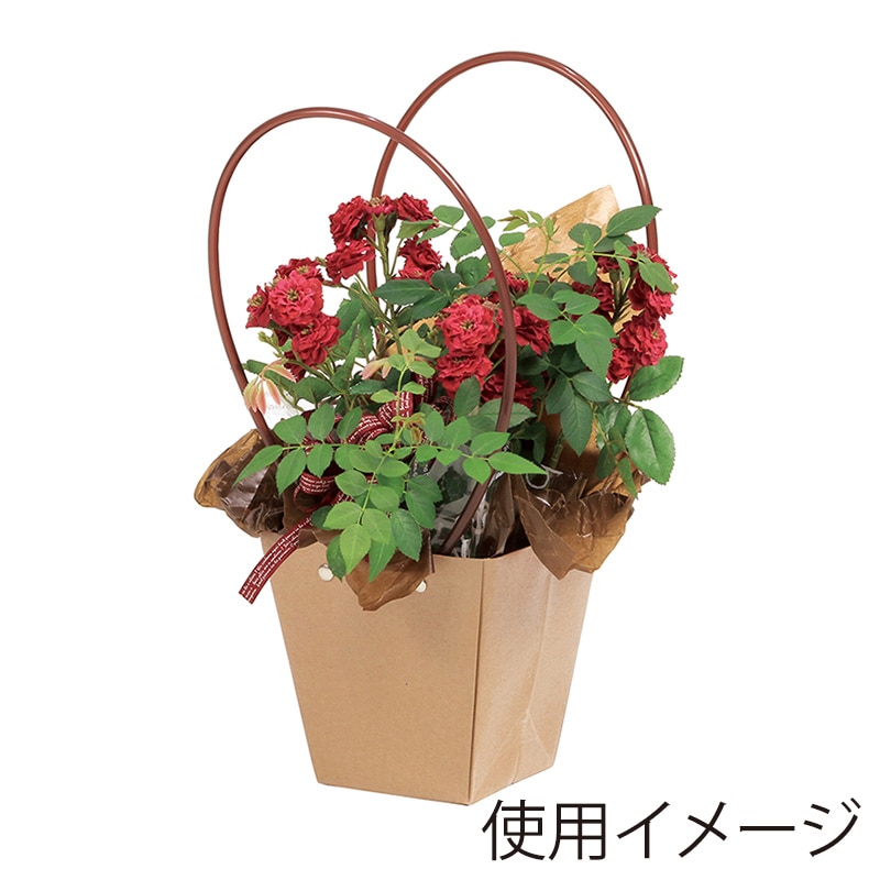 SG Wonder zone ペーパーバック 駄温鉢3号用 381-003 1個(ご注文単位10個)【直送品】