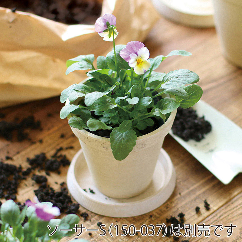 SG Wonder zone SPエコポット S φ11 底穴開き ベージュ 150-034BE 1個（ご注文単位1個）【直送品】