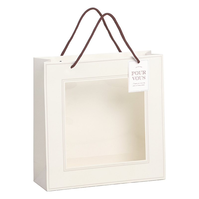 SG Wonder zone ペーパー窓付きバッグ L 381-021 5枚/袋（ご注文単位5袋）【直送品】