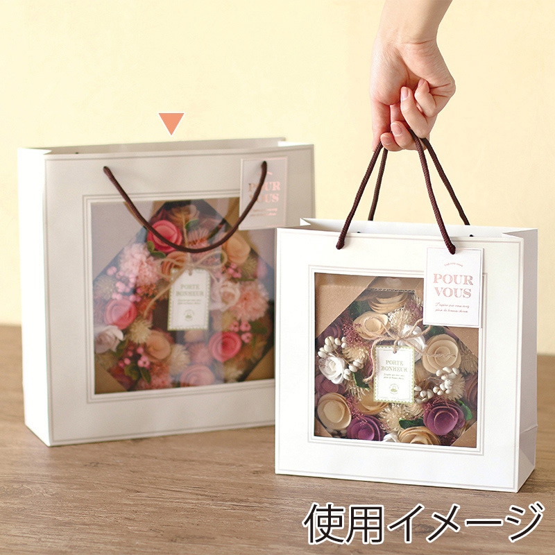 SG Wonder zone ペーパー窓付きバッグ L 381-021 5枚/袋（ご注文単位5袋）【直送品】