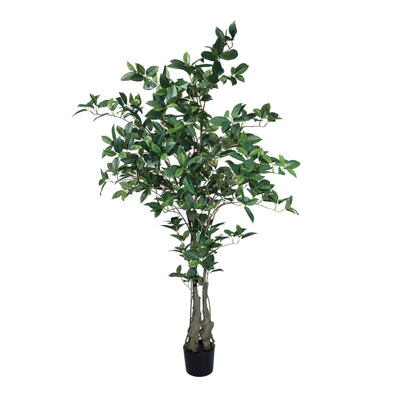 インテリアグリーン