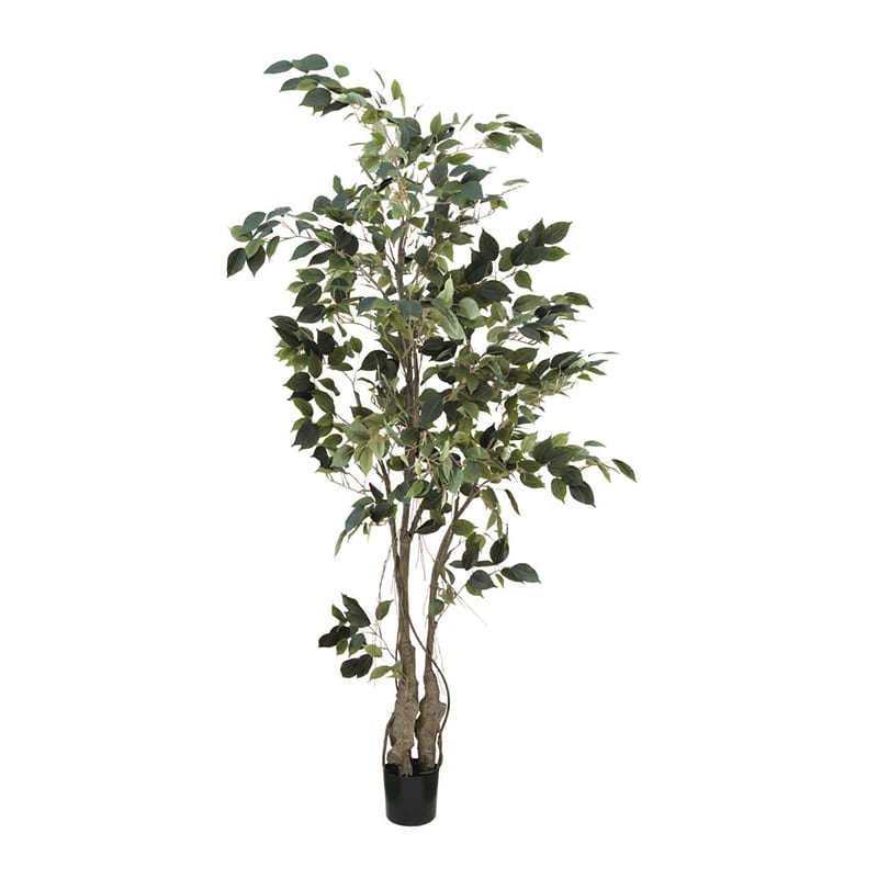 ビバ工芸 造花 インテリアグリーン クラシックフィカス 150cm VDZ0005 1本(ご注文単位1本)【直送品】