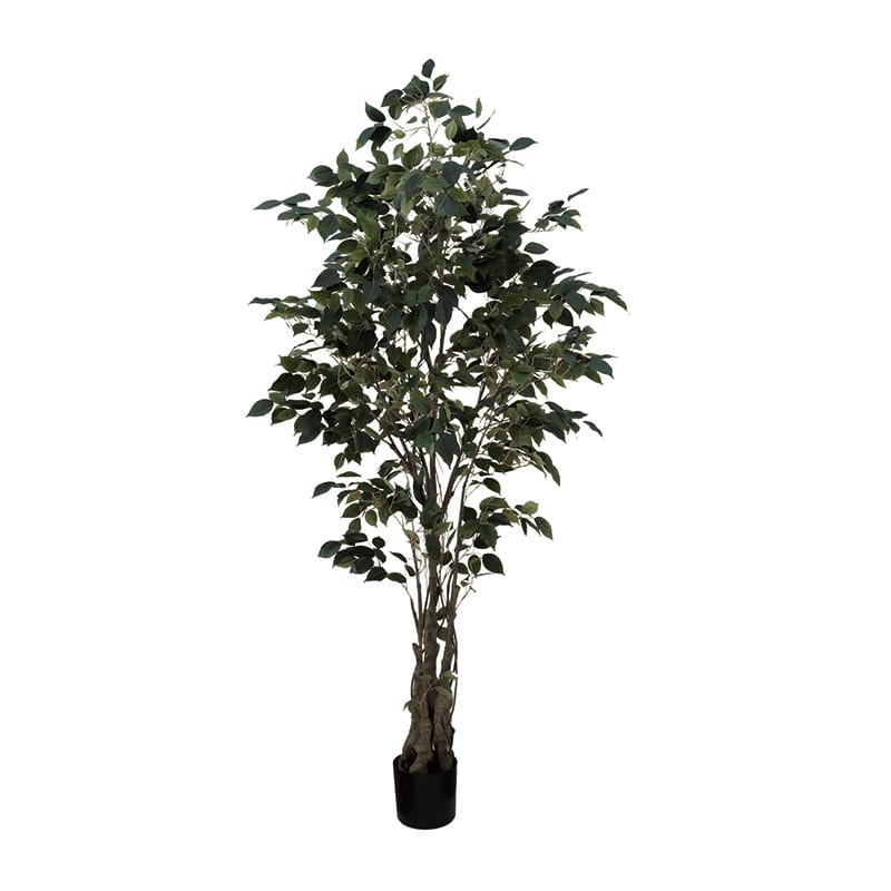 ビバ工芸 造花 インテリアグリーン クラシックフィカス 180cm VDZ0006 1本(ご注文単位1本)【直送品】