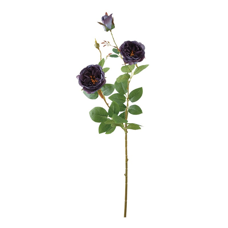 ダーク／パープル