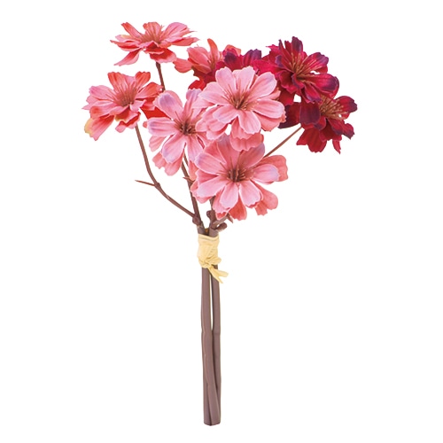 パープル／ラベンダー／ビューティ