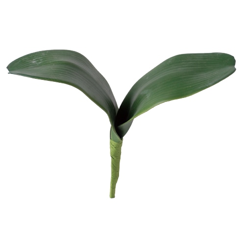 ビバ工芸 造花 胡蝶蘭リーフ VEG5167 1個(ご注文単位1個)【直送品】