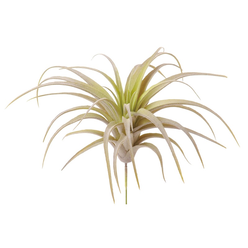 ビバ工芸 造花　ティランジア S VDG5439 1束（ご注文単位1束）【直送品】