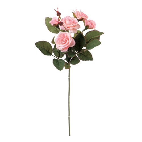 ソフト／ピンク