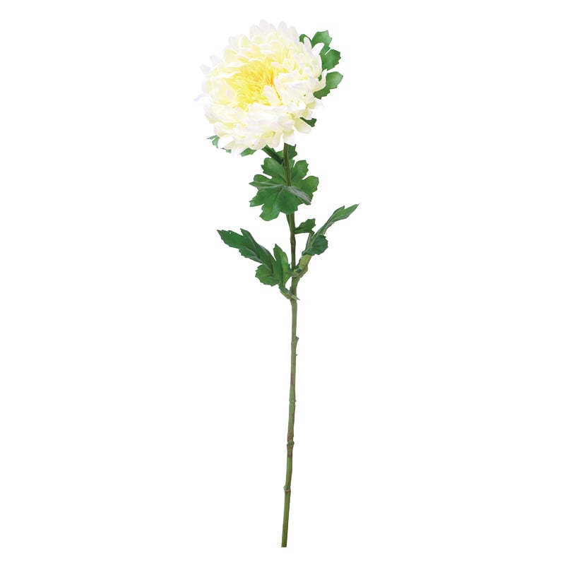 ライト／イエロー