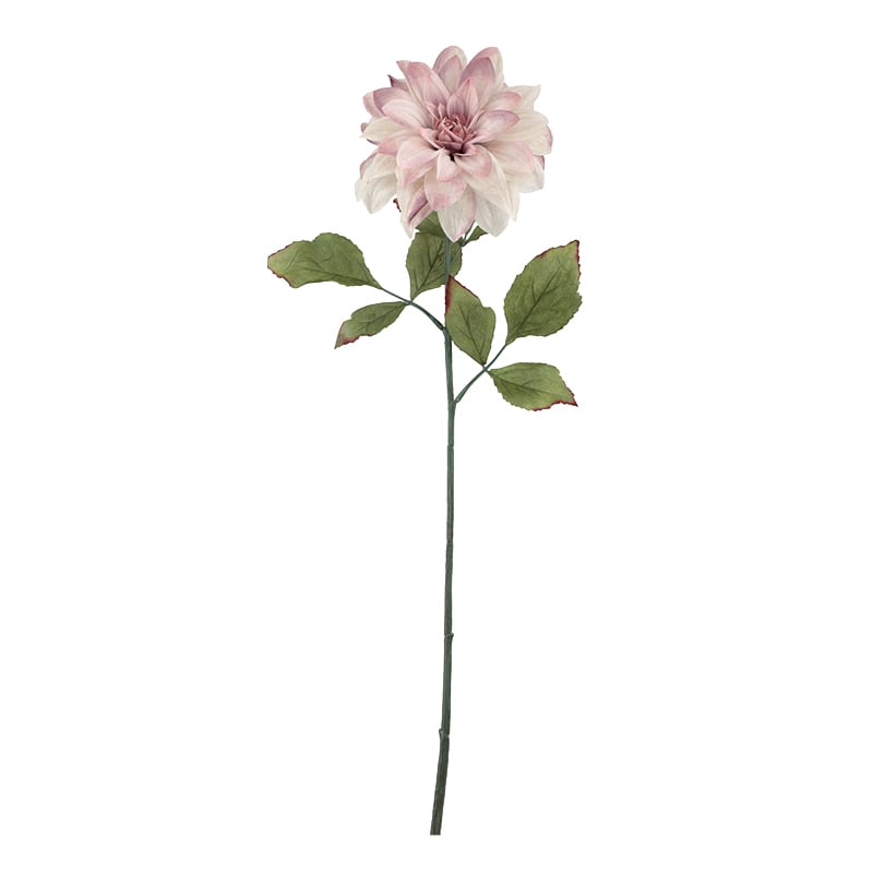 クリーム／ピンク