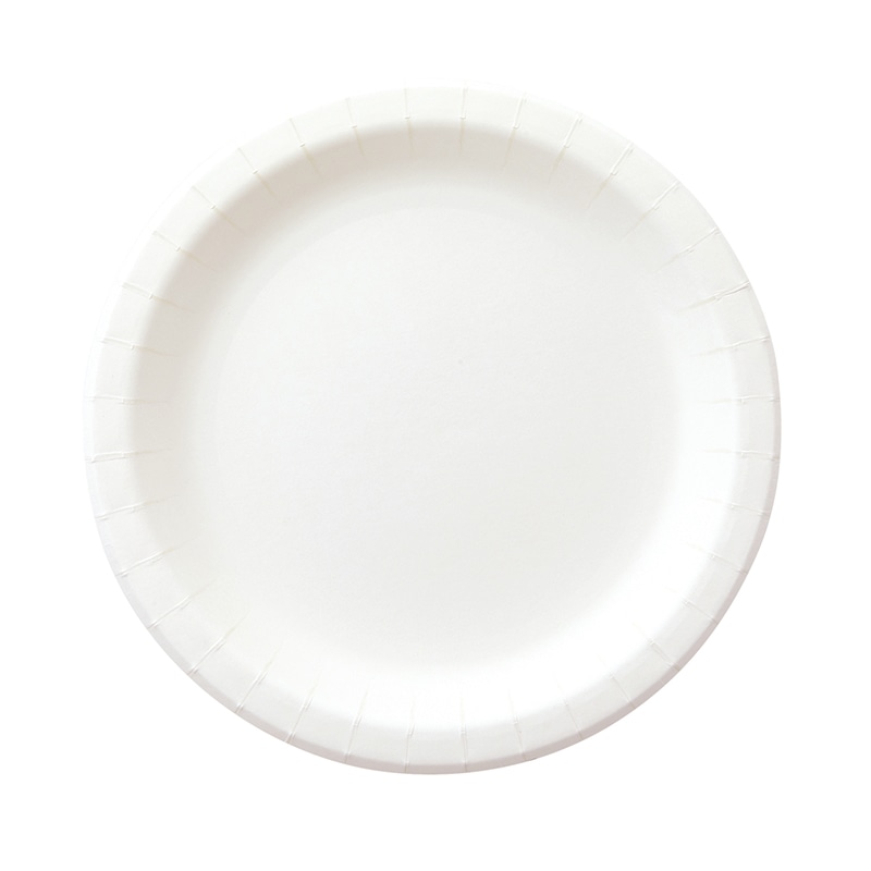 ペーパーウェア 紙皿　ナチュラルパルプペーパープレート 22cm NP-22 100枚/束（ご注文単位8束）【直送品】