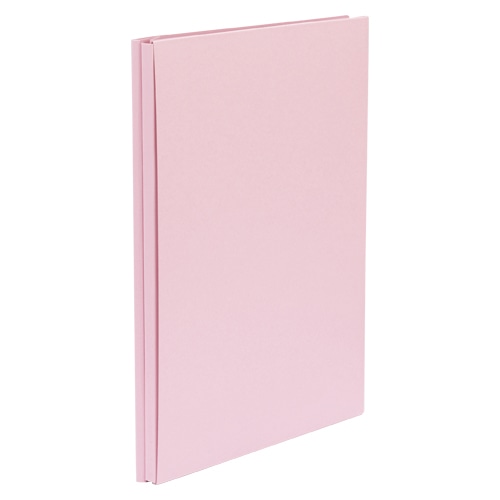 CR-AN1174-PI クラウンカラーエイナーエコノミー ピンク 1冊 (ご注文単位1冊)【直送品】