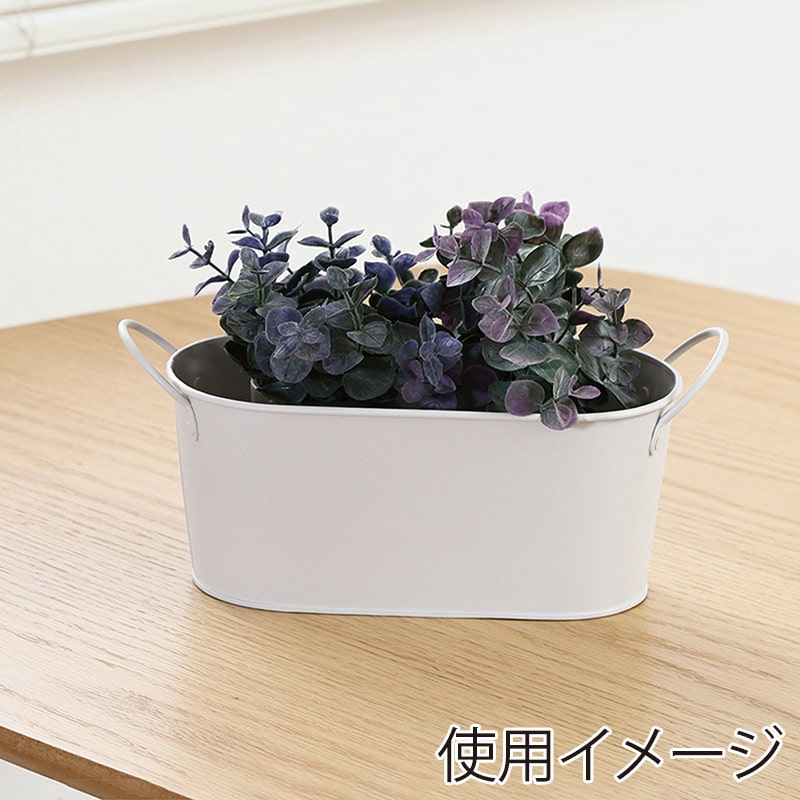 不二貿易 スチールオーバルバケツ S アイボリー 61438 1個（ご注文単位5個）【直送品】