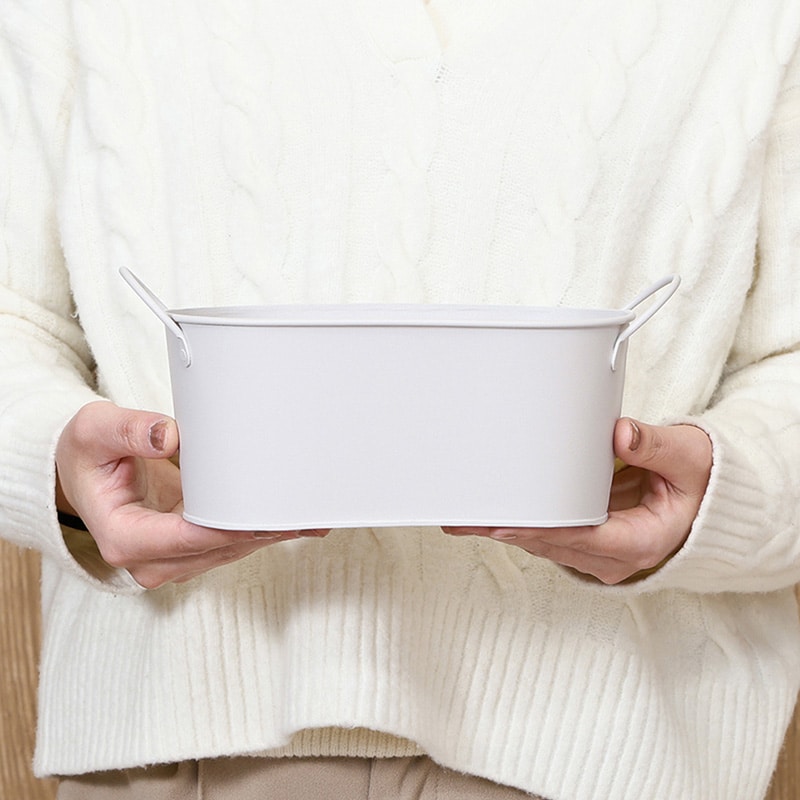 不二貿易 スチールオーバルバケツ S アイボリー 61438 1個（ご注文単位5個）【直送品】