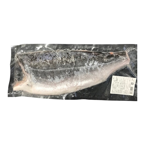 定塩銀鮭フィーレ10枚サイズ 1枚 冷凍 1個※軽(ご注文単位1個)※注文上限数12まで【直送品】