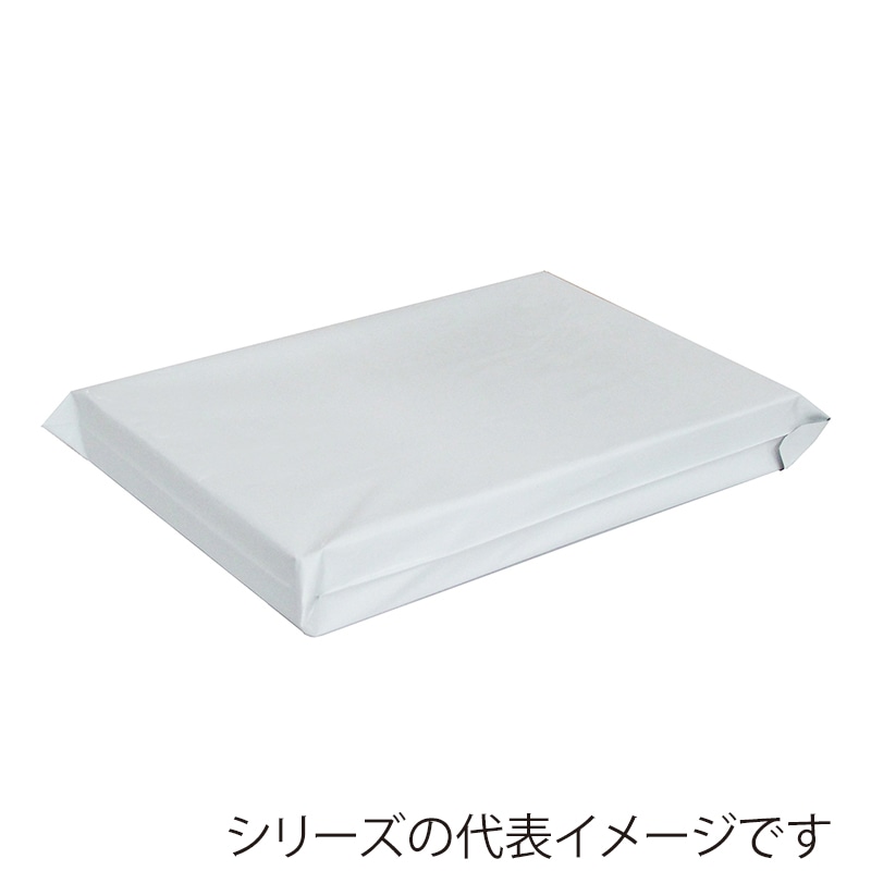 今村紙工 PE宅配袋 底マチ付き 特大 PEG-TLL10/27499 10枚/袋(ご注文単位100袋)【直送品】