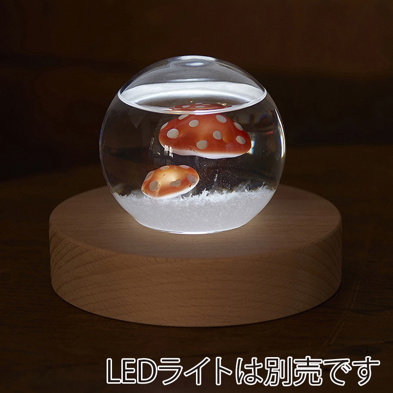 茶谷産業 気象予報計 ストームグラス ドーム きのこ 333-410 1個(ご注文単位1個)【直送品】