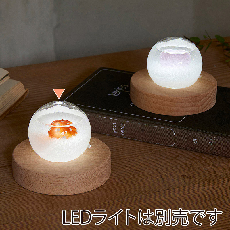 茶谷産業 気象予報計 ストームグラス ドーム きのこ 333-410 1個(ご注文単位1個)【直送品】