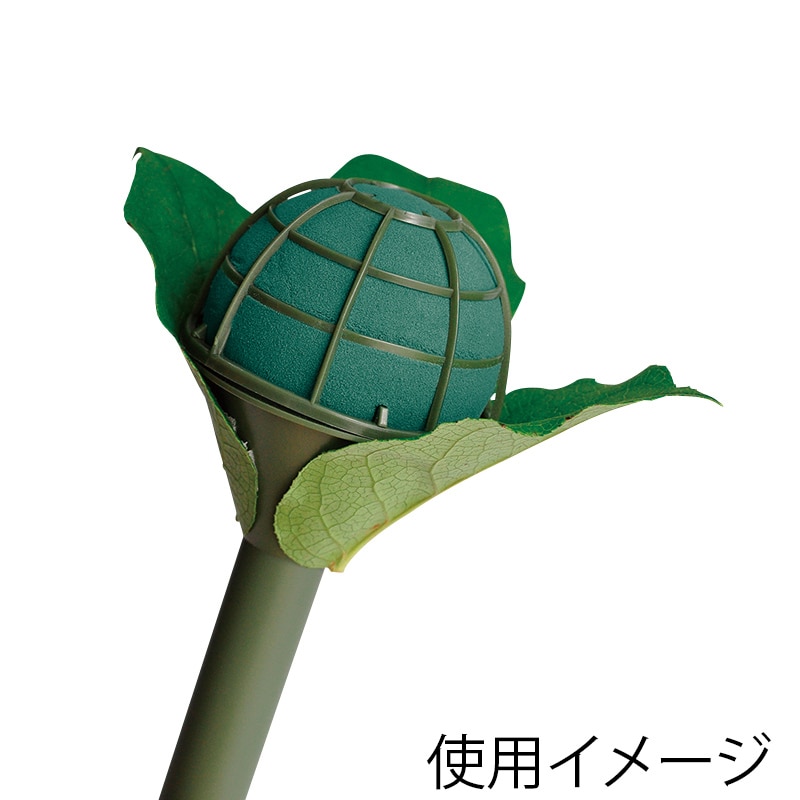 松村工芸 アクアフォーム ブライディネット A フラット グリーン 10-3079-1 1個(ご注文単位6個)【直送品】