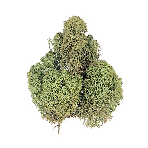 松村工芸 レインディアモス 箱入　約500g入　ミント 165-11-3 1箱（ご注文単位1箱）【直送品】