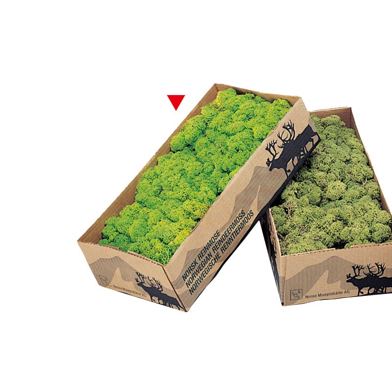 松村工芸 レインディアモス 箱入　約500g入　スプリンググリーン 165-11-7 1個（ご注文単位1個）【直送品】