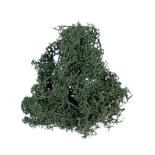 松村工芸 レインディアモス 箱入　約500g入　モス 165-11-9 1箱（ご注文単位1箱）【直送品】