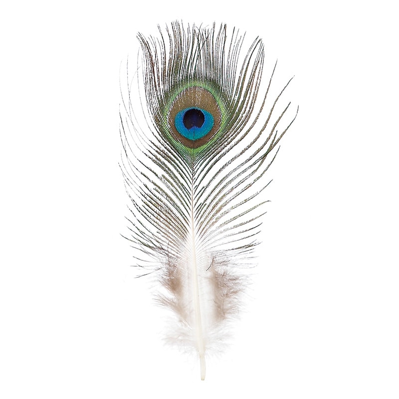 松村工芸 クジャクの羽根 S 63-3071-0 4本入 1袋(ご注文単位1袋)【直送品】