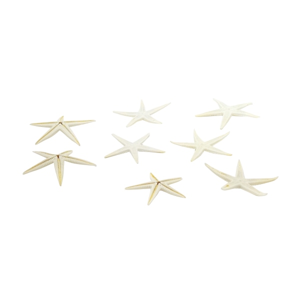 松村工芸 スターフィッシュ ホワイト 165-1161-1 1束（ご注文単位1束）【直送品】