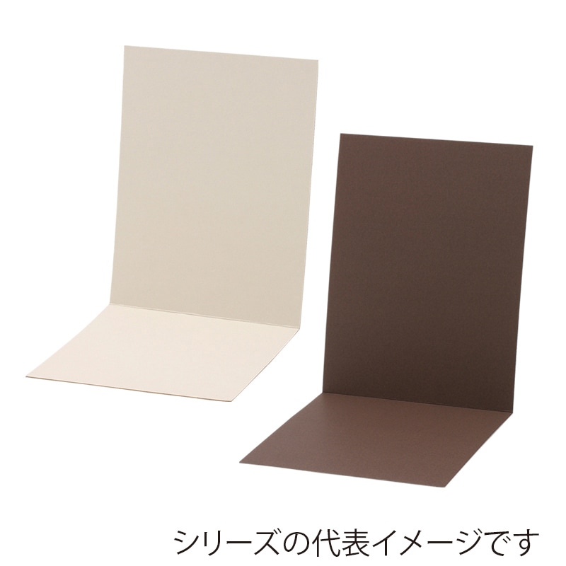 松村工芸 透明ケース用台紙 プリスタイルボードリバース L型 L 162-1493-0 1袋(ご注文単位1袋)【直送品】