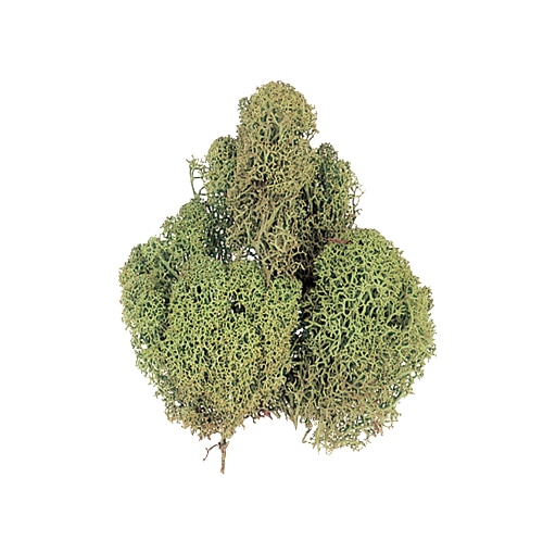 松村工芸 レインディアモス 袋入　約100g入　ミント 165-9-3 1袋（ご注文単位1袋）【直送品】