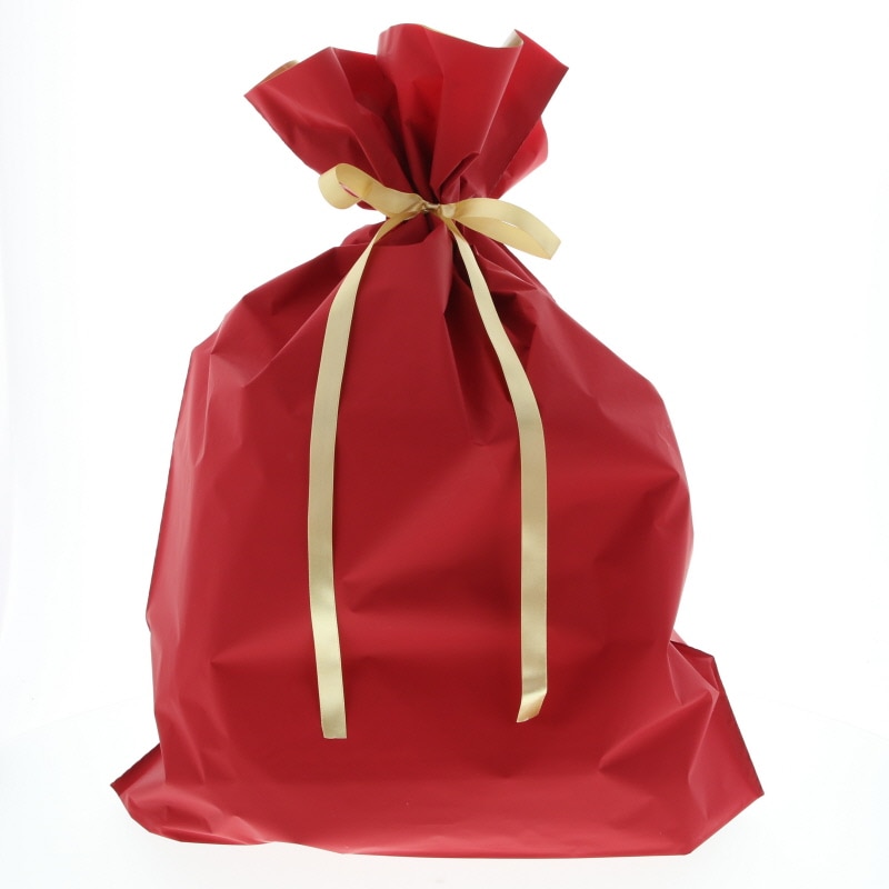 カクケイ ポリ巾着袋 梨地巾着袋 FK2401 LL レッド 20枚/パック