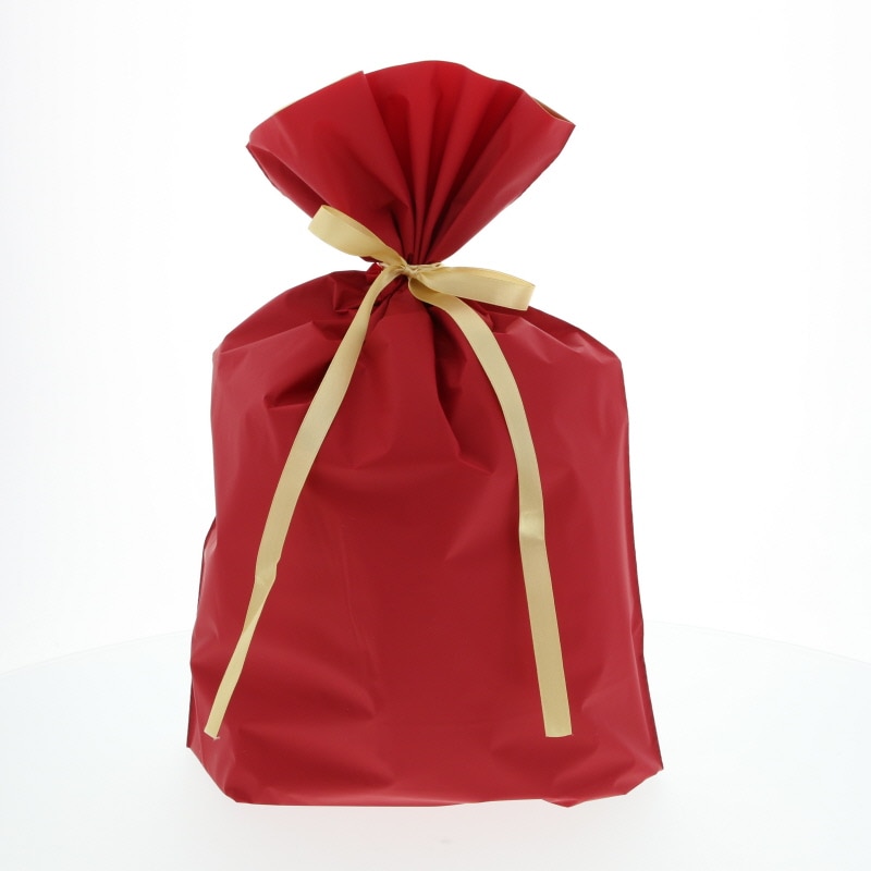 カクケイ ポリ巾着袋 梨地巾着袋 FK2402 L レッド 20枚/パック