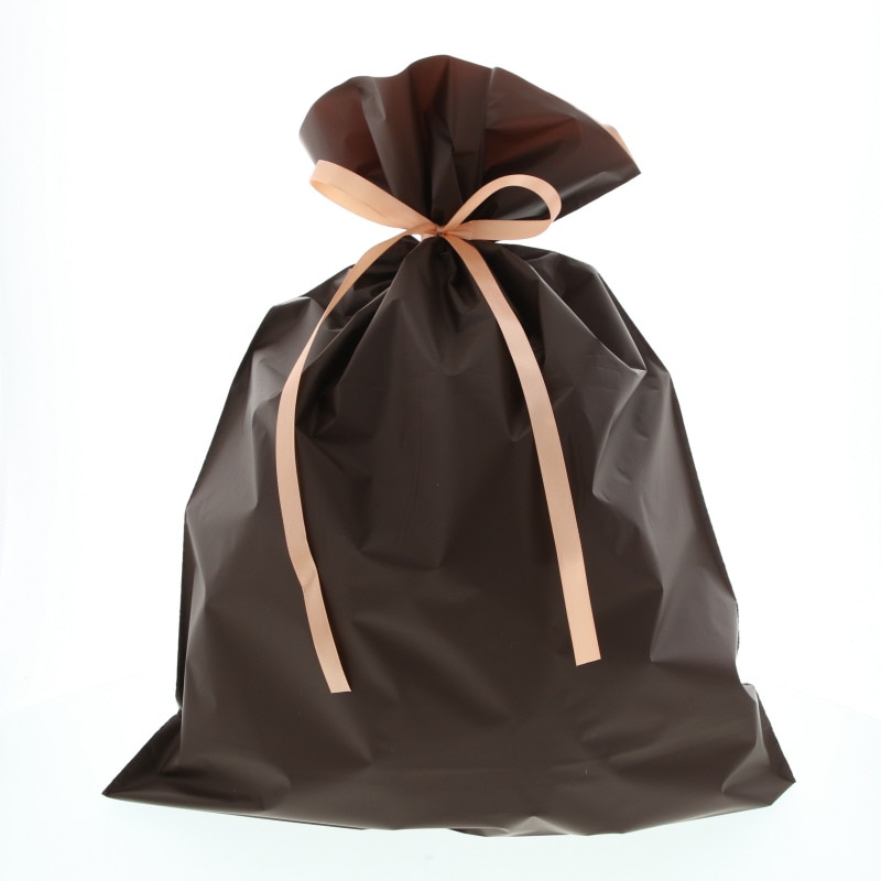 カクケイ ポリ巾着袋 梨地巾着袋 FK2409 LL ブラウン 20枚/パック