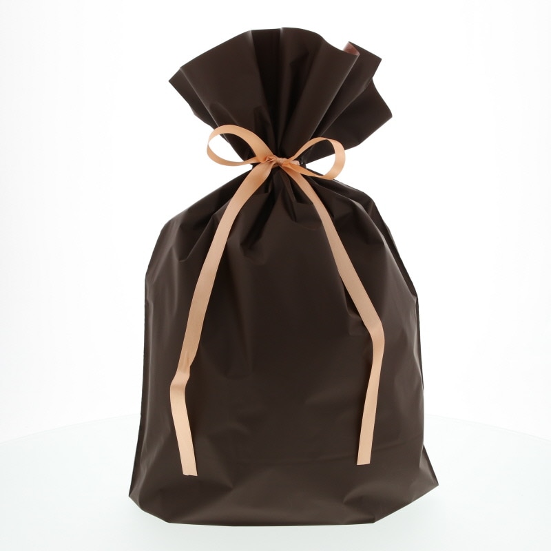 カクケイ ポリ巾着袋 梨地巾着袋 FK2410 L ブラウン 20枚/パック