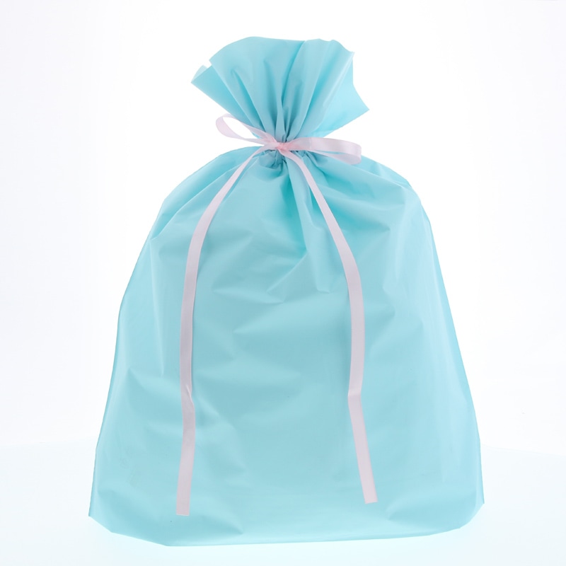 カクケイ ポリ巾着袋 梨地巾着袋 FK2437 LL パステルブルー 20枚/パック