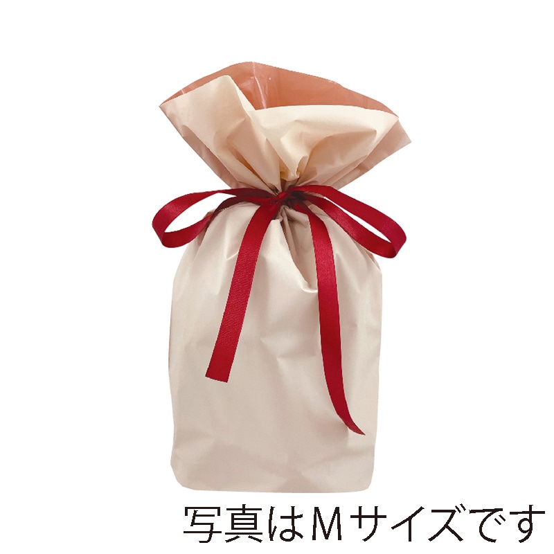 カクケイ 梨地リボン付巾着袋 L ベージュ FK2450 20枚入/パック(ご注文単位10パック)【直送品】